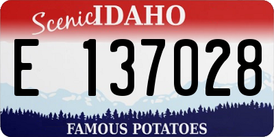 ID license plate E137028