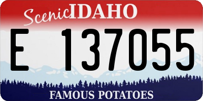 ID license plate E137055