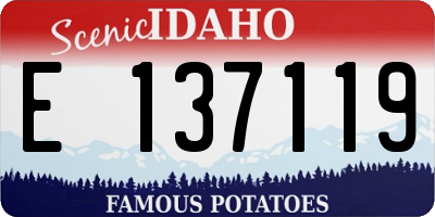 ID license plate E137119