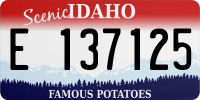 ID license plate E137125