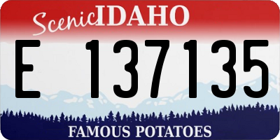 ID license plate E137135