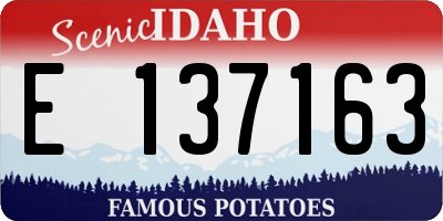ID license plate E137163