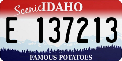 ID license plate E137213