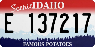 ID license plate E137217