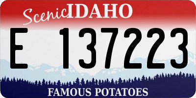 ID license plate E137223