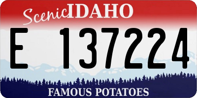ID license plate E137224