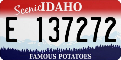 ID license plate E137272