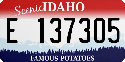 ID license plate E137305