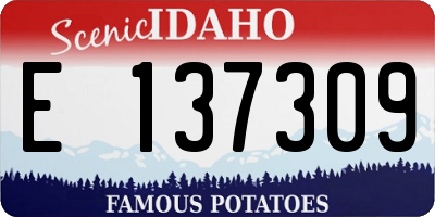 ID license plate E137309
