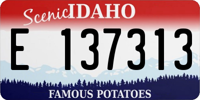 ID license plate E137313