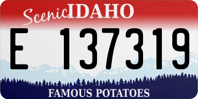 ID license plate E137319