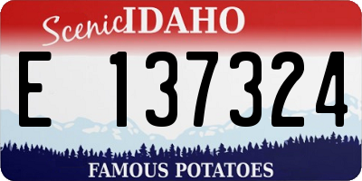 ID license plate E137324