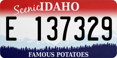 ID license plate E137329