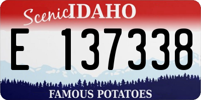 ID license plate E137338