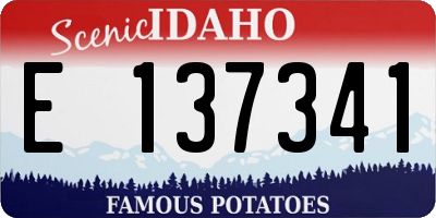 ID license plate E137341