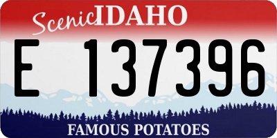 ID license plate E137396