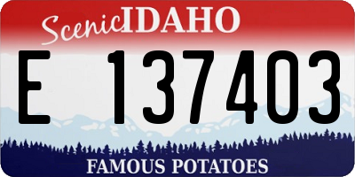 ID license plate E137403