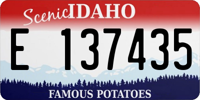 ID license plate E137435