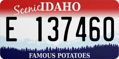 ID license plate E137460