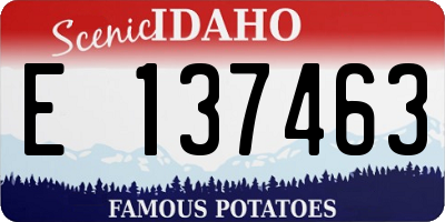 ID license plate E137463