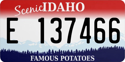 ID license plate E137466
