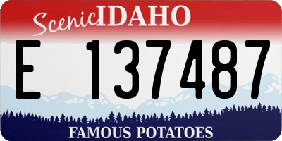 ID license plate E137487