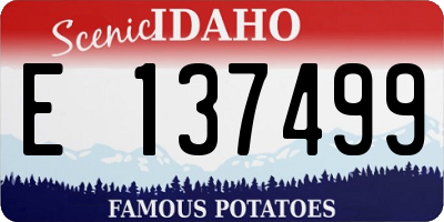 ID license plate E137499