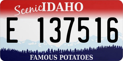 ID license plate E137516