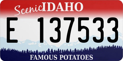 ID license plate E137533