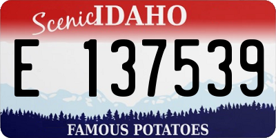 ID license plate E137539