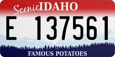 ID license plate E137561