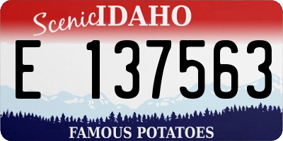 ID license plate E137563