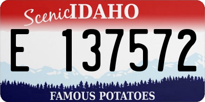 ID license plate E137572