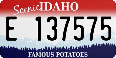 ID license plate E137575