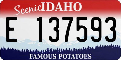 ID license plate E137593