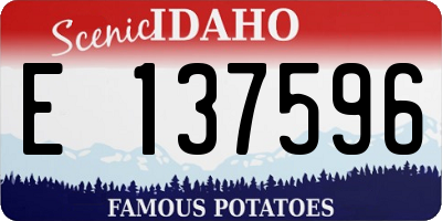 ID license plate E137596