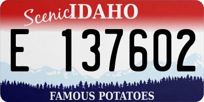 ID license plate E137602