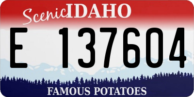ID license plate E137604
