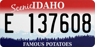 ID license plate E137608