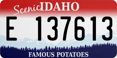 ID license plate E137613