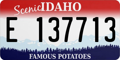ID license plate E137713