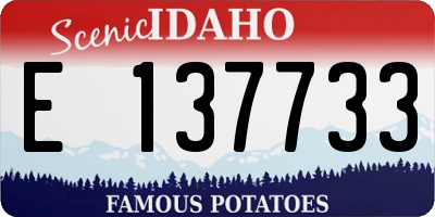 ID license plate E137733
