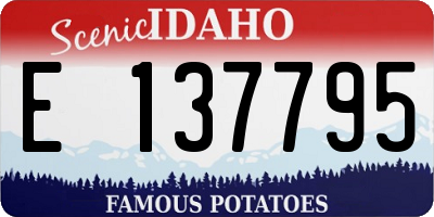 ID license plate E137795