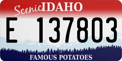 ID license plate E137803