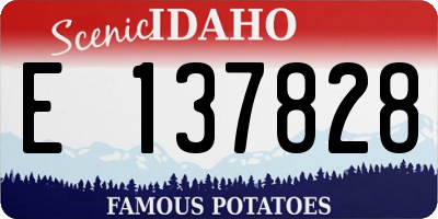 ID license plate E137828