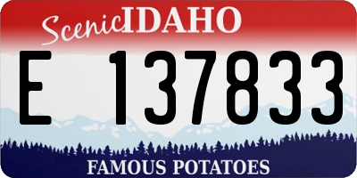 ID license plate E137833