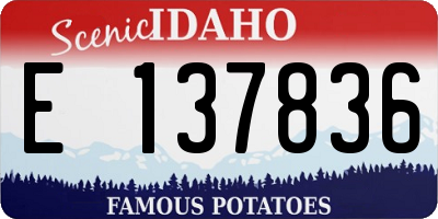 ID license plate E137836