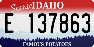 ID license plate E137863