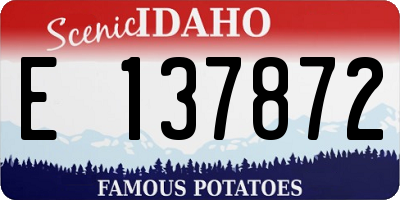 ID license plate E137872