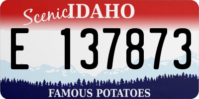 ID license plate E137873